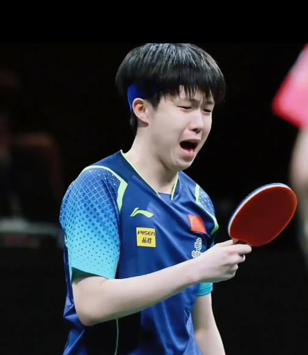 奥地利队完胜日本队，许昕高光表现
