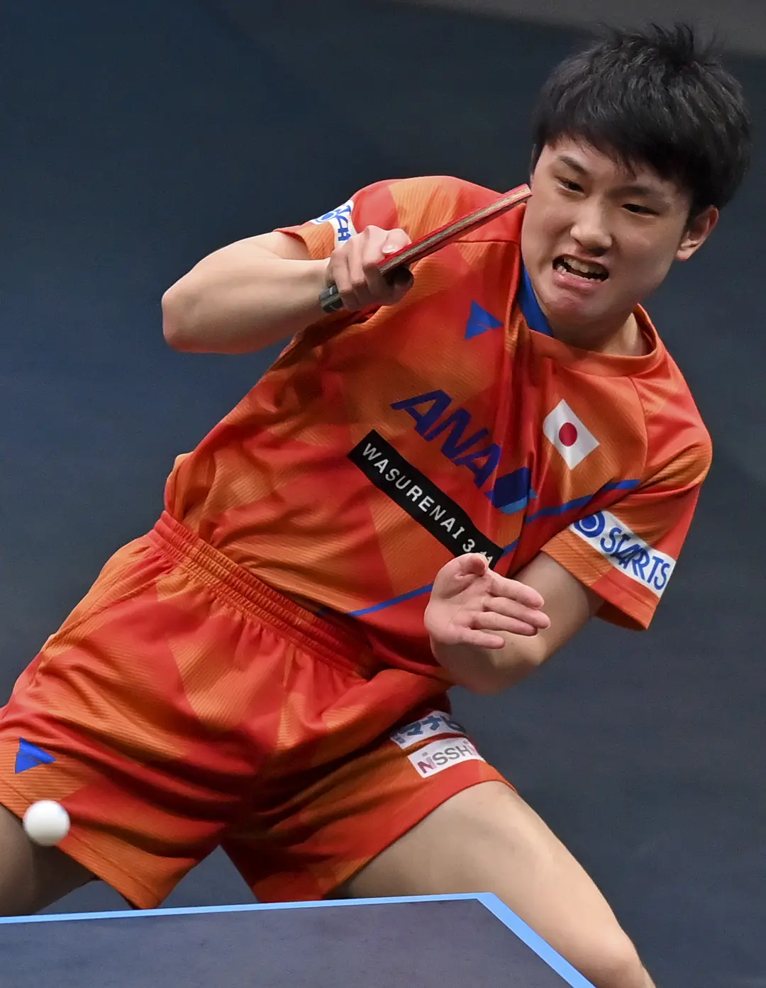 日本队翻盘奥地利队，张本智和高光表现