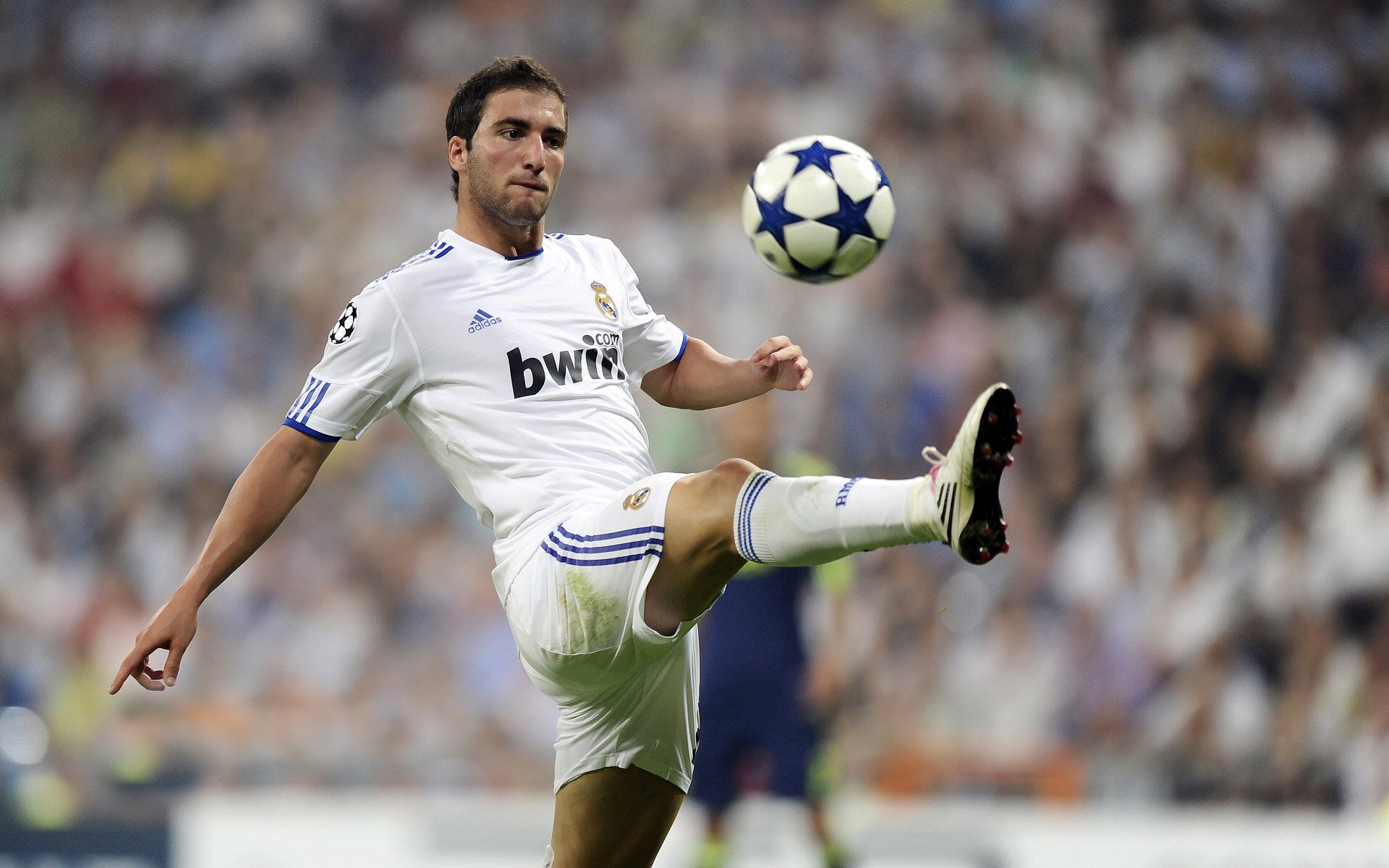 骑士轻取浙江队,库里用实力证明自己